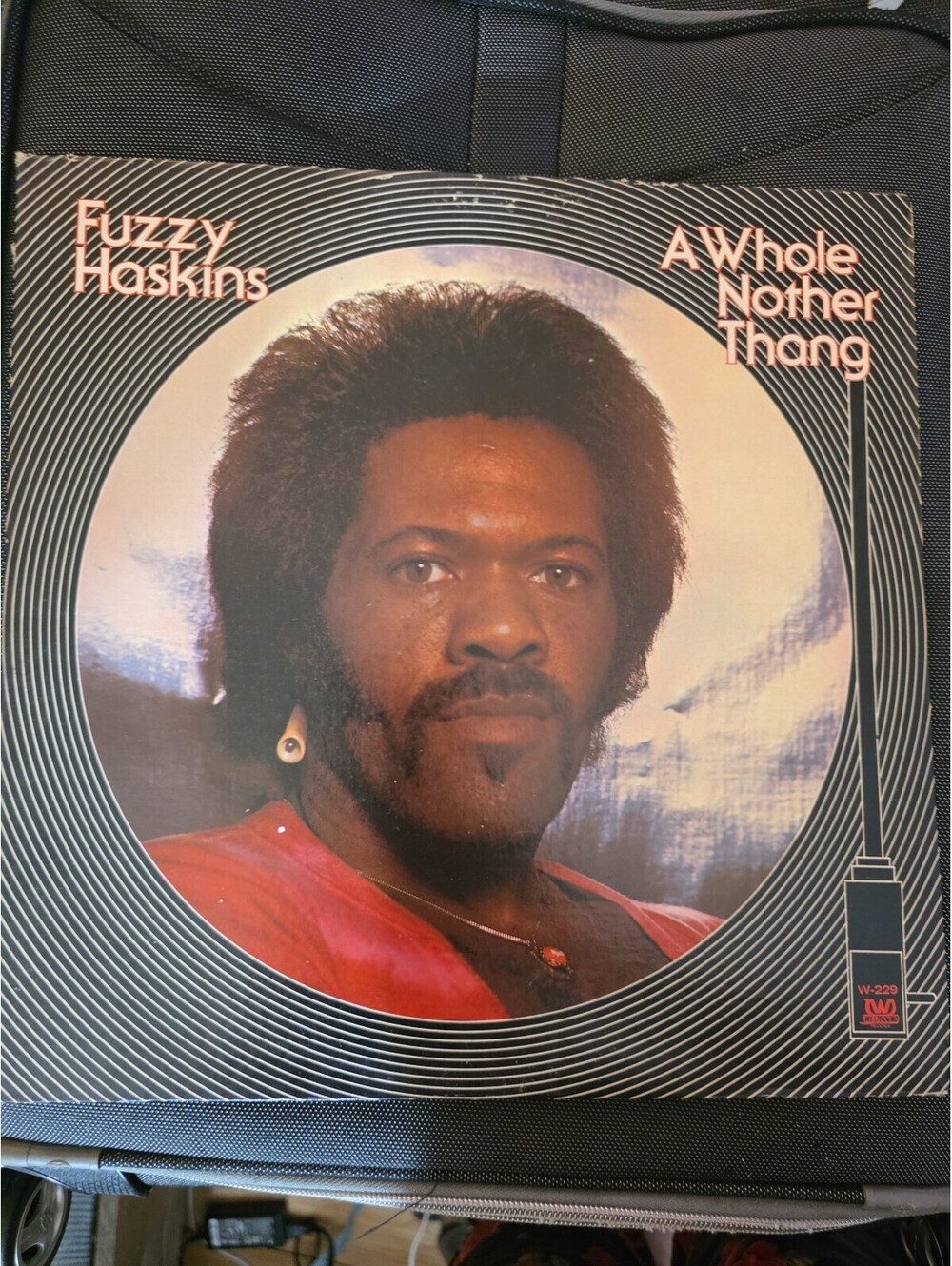 Fuzzy Haskins - A Whole Nother Thang Vinyl Record Album